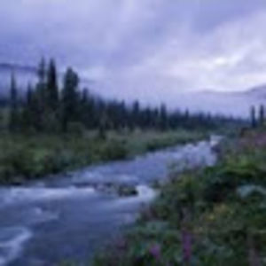 Meet your Posher, Grant